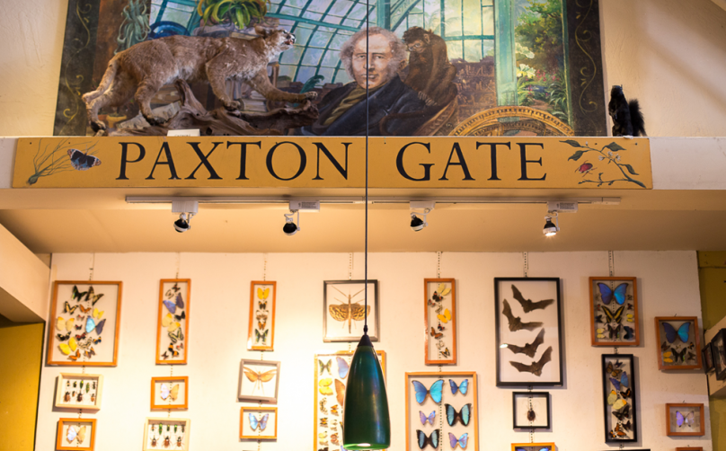 Paxton Gate The Project For Women
